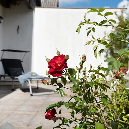 Holiday home Sonneneck 24