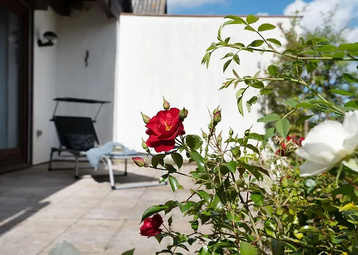 Сasa de vacaciones Sonneneck 24